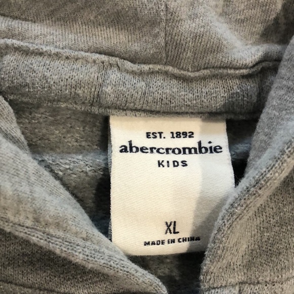 ABERCROMBIE KIDS Brushed Fleece Zip-Up Logo Hoodie Sweatshirt - Picture 3 of 8